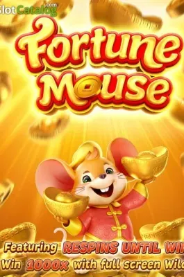 Fortune Mousse en MEXI77 COM